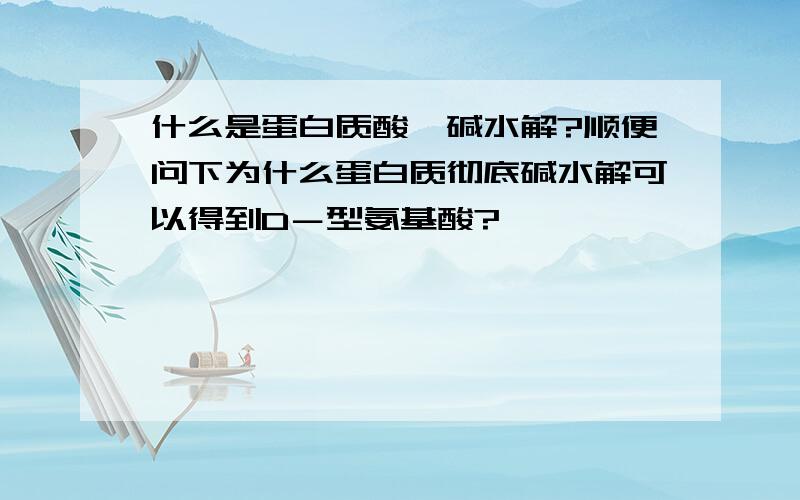 什么是蛋白质酸、碱水解?顺便问下为什么蛋白质彻底碱水解可以得到D－型氨基酸?