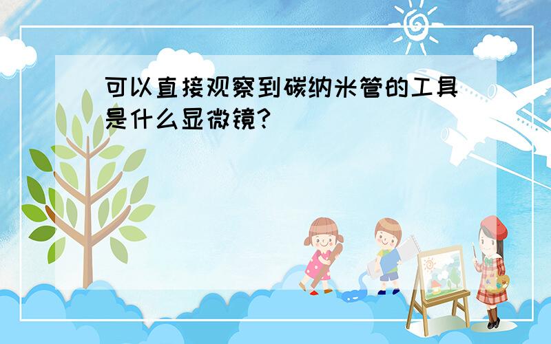 可以直接观察到碳纳米管的工具是什么显微镜?