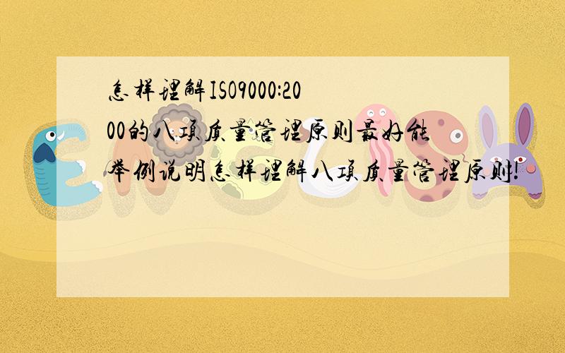 怎样理解ISO9000:2000的八项质量管理原则最好能举例说明怎样理解八项质量管理原则!