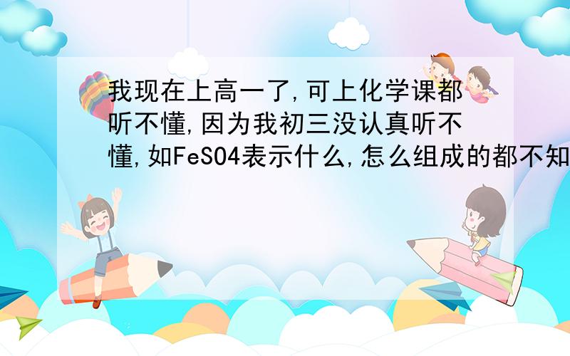 我现在上高一了,可上化学课都听不懂,因为我初三没认真听不懂,如FeSO4表示什么,怎么组成的都不知道,要怎么办?什么高猛化甲用字母表示都不懂,怎么学才可以懂,要看什么?