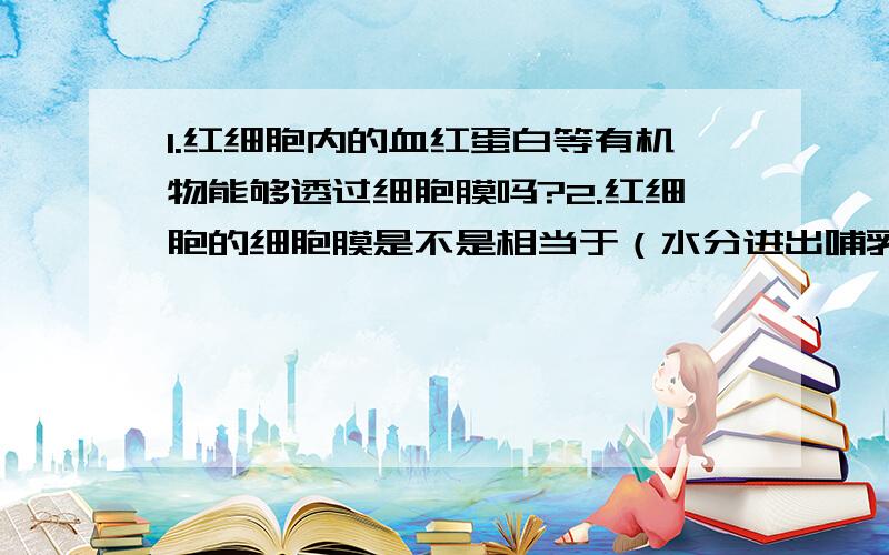 1.红细胞内的血红蛋白等有机物能够透过细胞膜吗?2.红细胞的细胞膜是不是相当于（水分进出哺乳动物红细胞况图中）所说的半透膜?3.当外界溶液的浓度低时,红细胞一定会由于吸水而涨破吗?