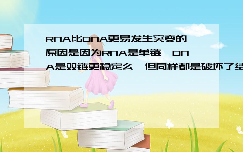 RNA比DNA更易发生突变的原因是因为RNA是单链,DNA是双链更稳定么,但同样都是破坏了结构啊