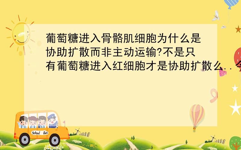 葡萄糖进入骨骼肌细胞为什么是协助扩散而非主动运输?不是只有葡萄糖进入红细胞才是协助扩散么..今年理综这道题好纠结啊..      难道是有神奇的载体蛋白么...求解...\x09拜托各位大神