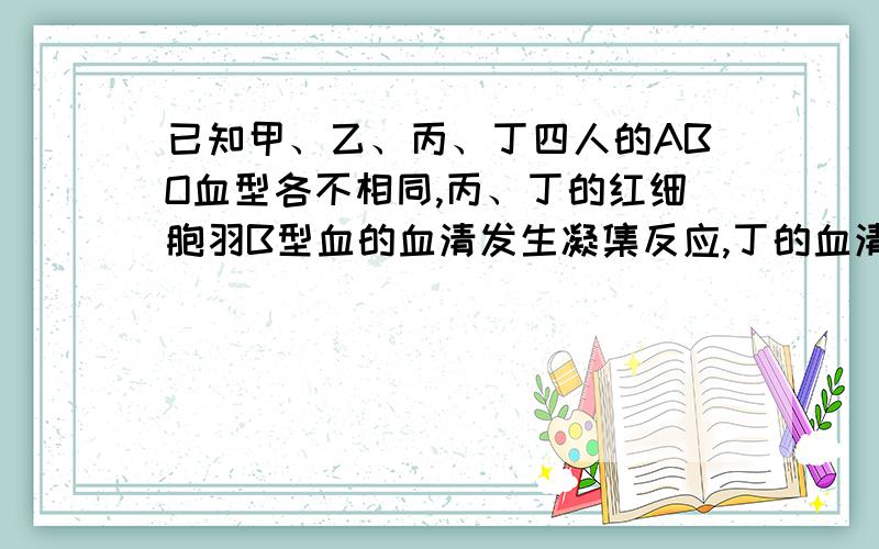 已知甲、乙、丙、丁四人的ABO血型各不相同,丙、丁的红细胞羽B型血的血清发生凝集反应,丁的血清能与乙的红细胞发生凝集反应.问  甲的血型是?丁的血型是?   求原因!