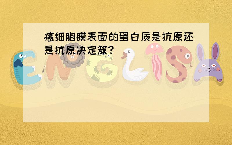 癌细胞膜表面的蛋白质是抗原还是抗原决定簇?