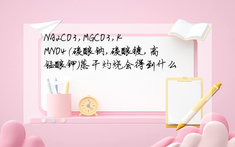 NA2CO3,MGCO3,KMNO4（碳酸钠,碳酸镁,高锰酸钾）蒸干灼烧会得到什么