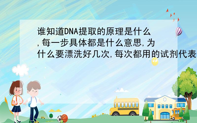 谁知道DNA提取的原理是什么,每一步具体都是什么意思,为什么要漂洗好几次,每次都用的试剂代表什么作用呢