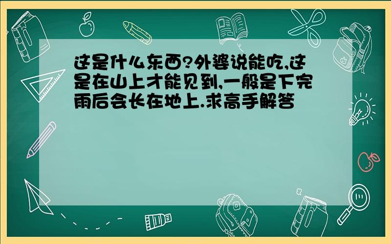 这是什么东西?外婆说能吃,这是在山上才能见到,一般是下完雨后会长在地上.求高手解答