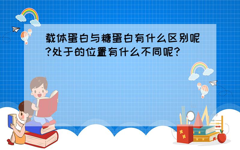 载体蛋白与糖蛋白有什么区别呢?处于的位置有什么不同呢?