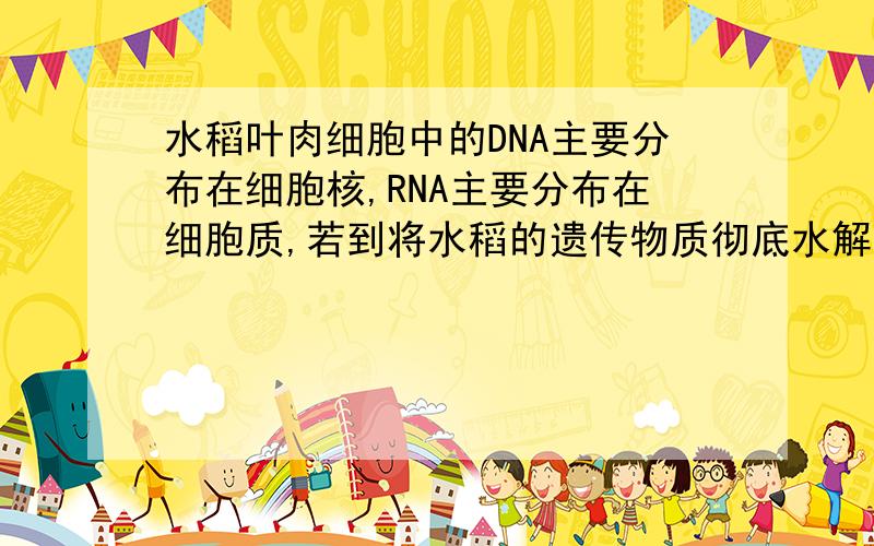 水稻叶肉细胞中的DNA主要分布在细胞核,RNA主要分布在细胞质,若到将水稻的遗传物质彻底水解后,可以得A一种五碳糖B五种含氮碱基C四种核苷酸D八种核苷酸,我知道选A,但RNA不也是遗传物质吗,