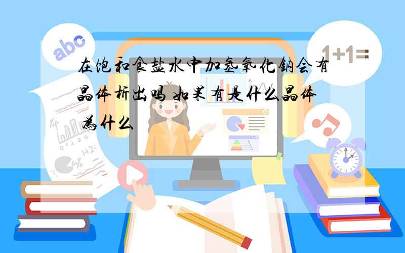 在饱和食盐水中加氢氧化钠会有晶体析出吗 如果有是什么晶体 为什么