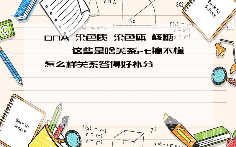 DNA 染色质 染色体 核糖…… 这些是啥关系rt搞不懂怎么样关系答得好补分