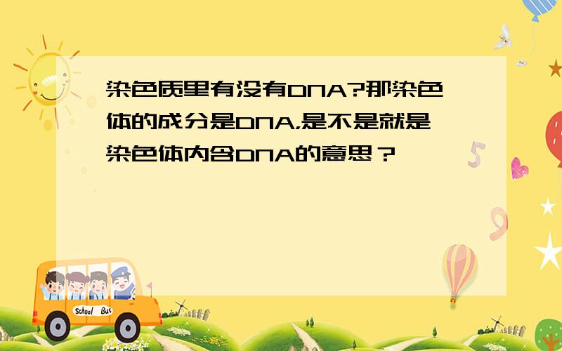 染色质里有没有DNA?那染色体的成分是DNA，是不是就是染色体内含DNA的意思？