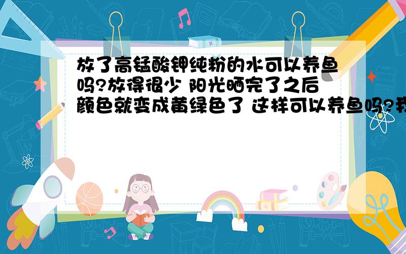 放了高锰酸钾纯粉的水可以养鱼吗?放得很少 阳光晒完了之后颜色就变成黄绿色了 这样可以养鱼吗?我要的是孔雀鱼 还有大的金鱼 不知道叫什么名.