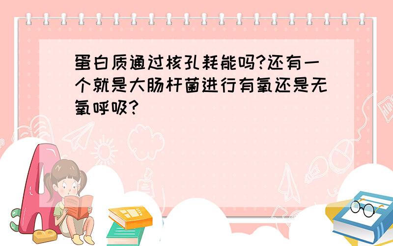 蛋白质通过核孔耗能吗?还有一个就是大肠杆菌进行有氧还是无氧呼吸?