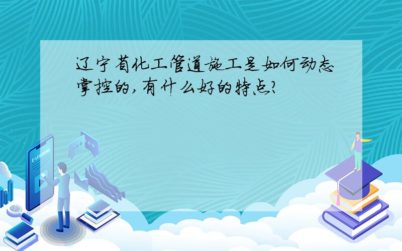 辽宁省化工管道施工是如何动态掌控的,有什么好的特点?