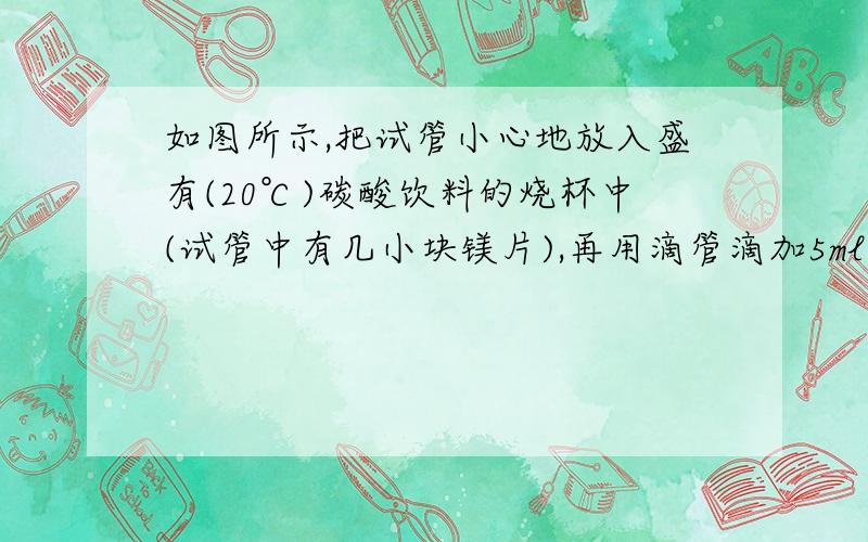 如图所示,把试管小心地放入盛有(20℃)碳酸饮料的烧杯中(试管中有几小块镁片),再用滴管滴加5ml盐酸于试管中（1）实验现象（2）产生上述现象原因（3）相关离子方程式（4）由实验得Mgcl2溶