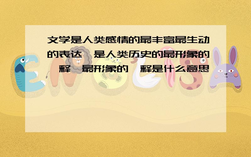 文学是人类感情的最丰富最生动的表达,是人类历史的最形象的诠释,最形象的诠释是什么意思