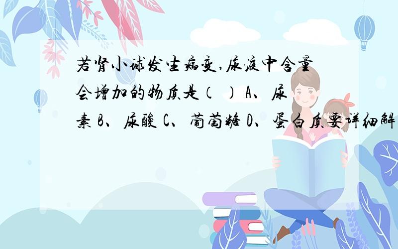 若肾小球发生病变,尿液中含量会增加的物质是（ ） A、尿素 B、尿酸 C、葡萄糖 D、蛋白质要详细解释