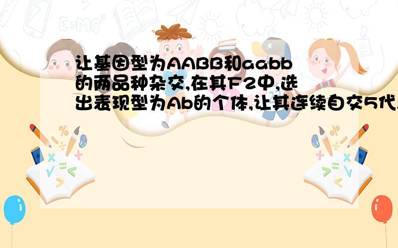 让基因型为AABB和aabb的两品种杂交,在其F2中,选出表现型为Ab的个体,让其连续自交5代,在选育过程中,每一代的表现型为ab的个体均被淘汰,则在第5代中符合理想表现型的能稳定遗传的个体中杂合