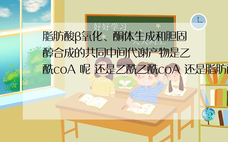 脂肪酸β氧化、酮体生成和胆固醇合成的共同中间代谢产物是乙酰coA 呢 还是乙酰乙酰coA 还是脂肪酸β氧化、酮体生成和胆固醇合成的共同中间代谢产物是乙酰coA 呢  还是乙酰乙酰coA  还是乙