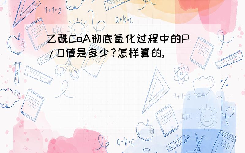 乙酰CoA彻底氧化过程中的P/O值是多少?怎样算的,