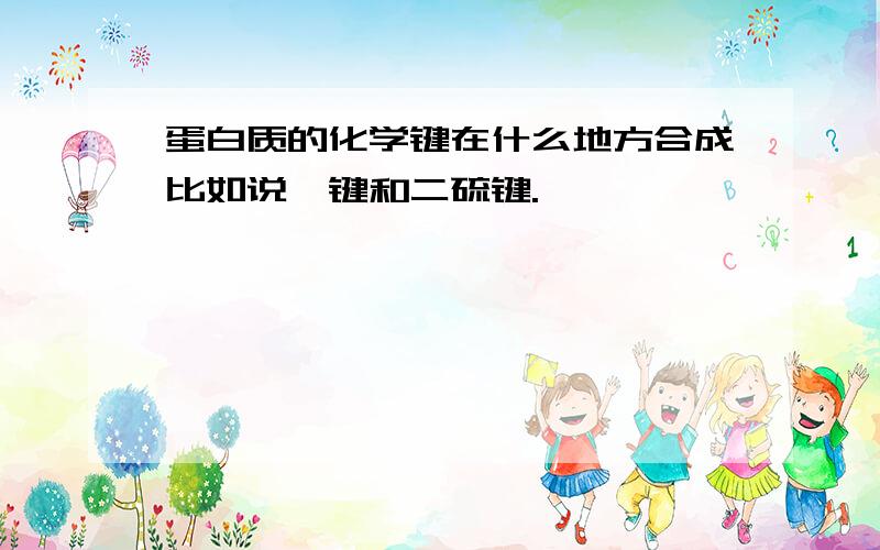 蛋白质的化学键在什么地方合成比如说肽键和二硫键.