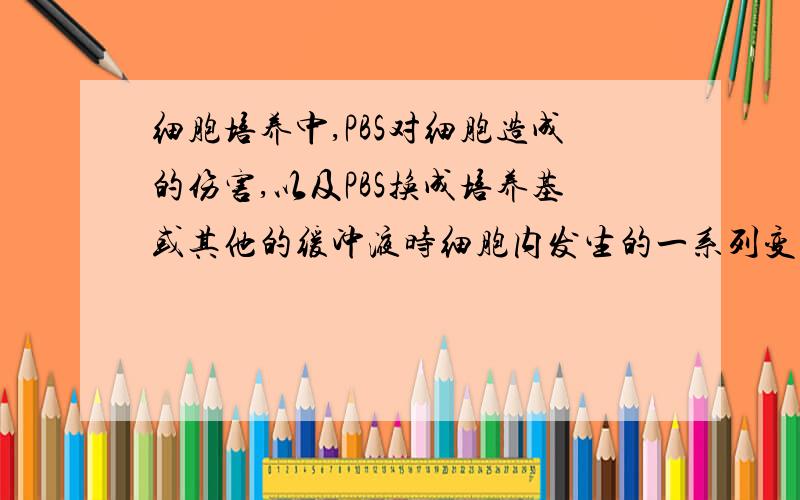 细胞培养中,PBS对细胞造成的伤害,以及PBS换成培养基或其他的缓冲液时细胞内发生的一系列变化?请回答详细一点,