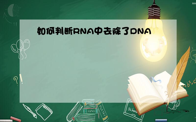 如何判断RNA中去除了DNA