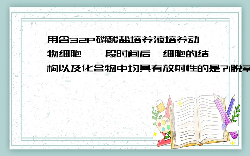 用含32P磷酸盐培养液培养动物细胞,一段时间后,细胞的结构以及化合物中均具有放射性的是?1脱氧核糖 2核膜 3ATP 4脂肪 5转运RNA.A 13 B 135 C 235 D2345