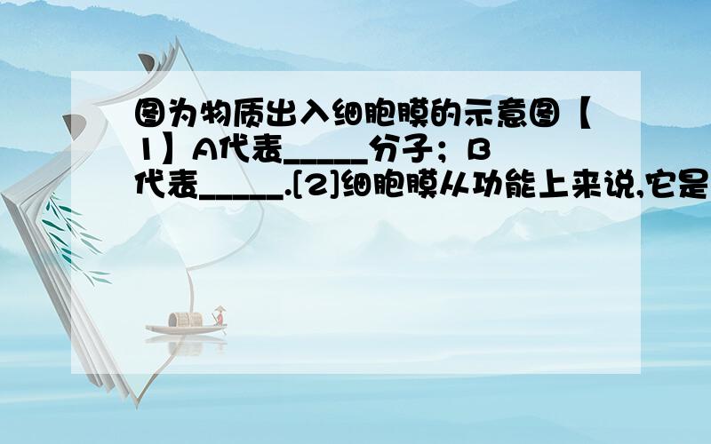 图为物质出入细胞膜的示意图【1】A代表_____分子；B代表_____.[2]细胞膜从功能上来说,它是一层___膜.【3】可能代表氧气转运过程的是途中编号_____；碘进入人体甲状腺滤泡上皮细胞的过程是图