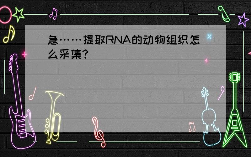 急……提取RNA的动物组织怎么采集?