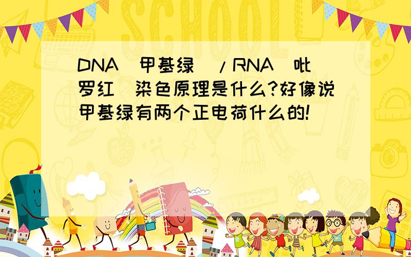 DNA（甲基绿）/RNA（吡罗红）染色原理是什么?好像说甲基绿有两个正电荷什么的!