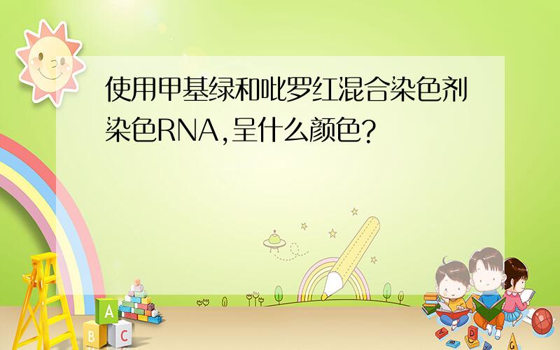 使用甲基绿和吡罗红混合染色剂染色RNA,呈什么颜色?