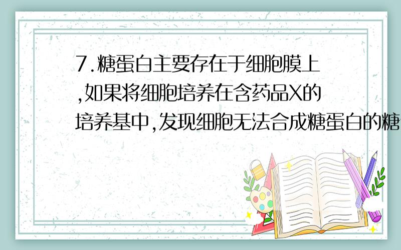 7.糖蛋白主要存在于细胞膜上,如果将细胞培养在含药品X的培养基中,发现细胞无法合成糖蛋白的糖侧链,则此药品可能作用于糖蛋白合成及运输过程中的哪一种细胞器上?