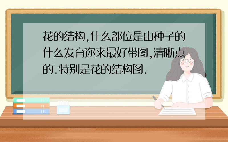 花的结构,什么部位是由种子的什么发育迩来最好带图,清晰点的.特别是花的结构图.