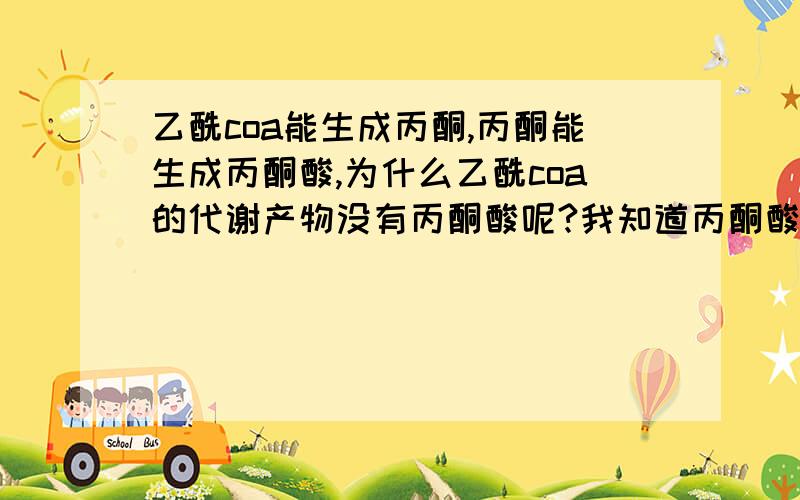 乙酰coa能生成丙酮,丙酮能生成丙酮酸,为什么乙酰coa的代谢产物没有丙酮酸呢?我知道丙酮酸氧化脱酸在丙酮酸脱氢酶复合体的作用下,生成乙酰CoA的过程是一个不可逆的过程.