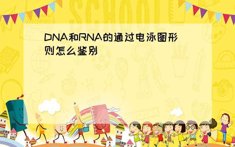 DNA和RNA的通过电泳图形则怎么鉴别