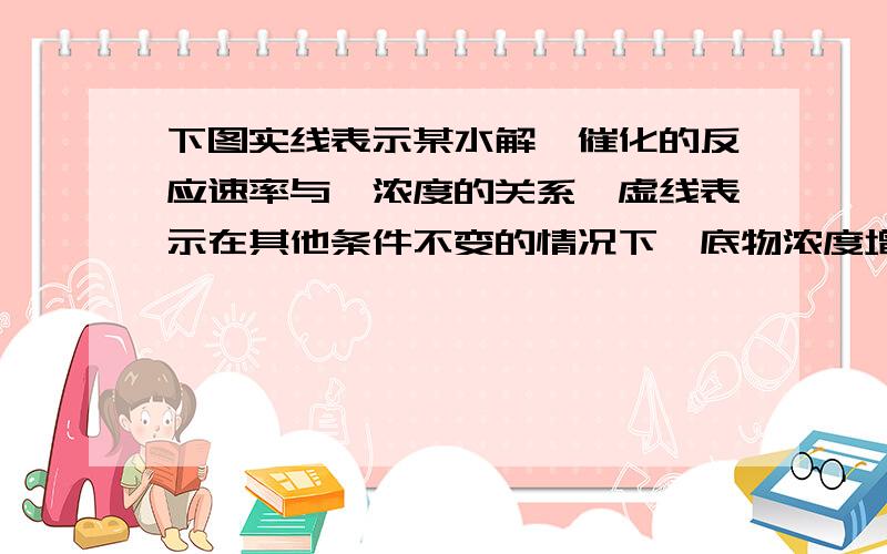 下图实线表示某水解酶催化的反应速率与酶浓度的关系,虚线表示在其他条件不变的情况下,底物浓度增加一倍,反应速度与酶浓度的关系,能正确表示两者关系的是