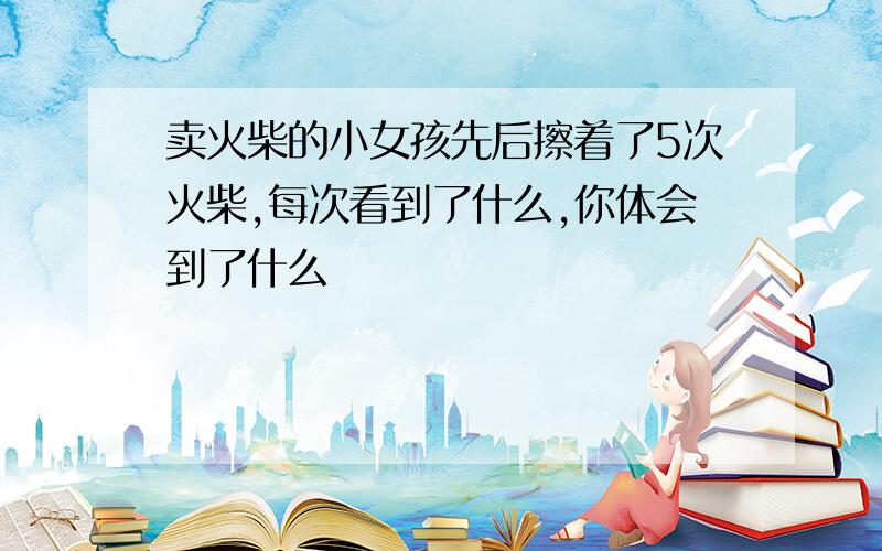 卖火柴的小女孩先后擦着了5次火柴,每次看到了什么,你体会到了什么