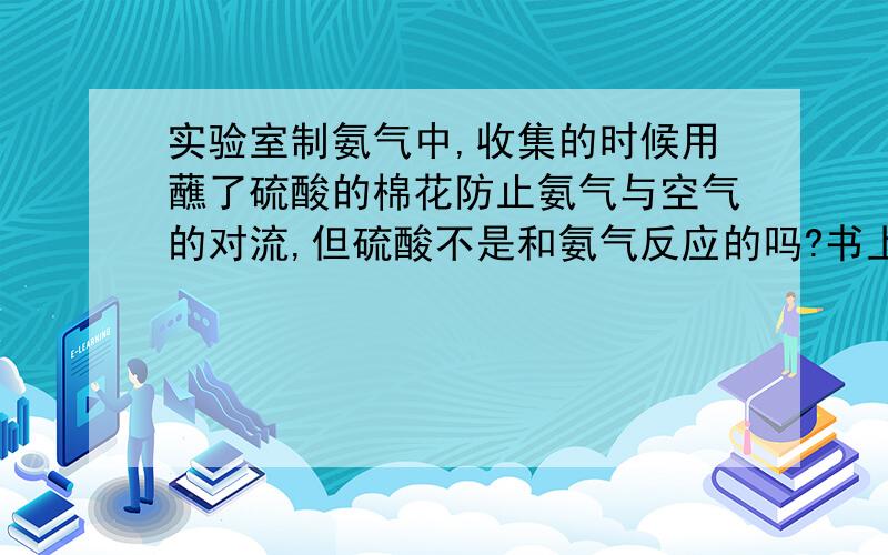 实验室制氨气中,收集的时候用蘸了硫酸的棉花防止氨气与空气的对流,但硫酸不是和氨气反应的吗?书上说,收集时,一般在管口塞一团用水或用稀硫酸浸湿的棉花球以减少与空气的对流.但是水