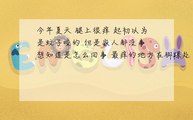 今年夏天 腿上很痒 起初以为是蚊子咬的 但是家人都没事 想知道是怎么回事 最痒的地方在脚踝处 然后蔓延开来 腿上到处都是红疙瘩 奇痒 可以痒好几天的那种 有时候还会出现小水泡 大腿