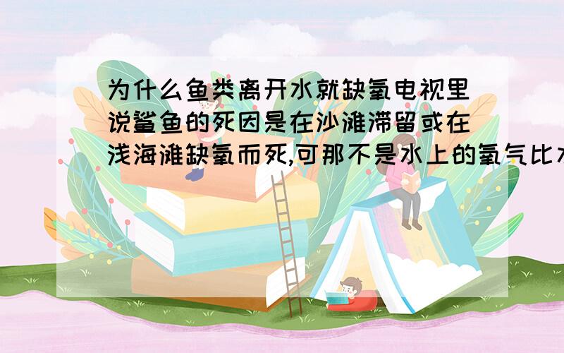 为什么鱼类离开水就缺氧电视里说鲨鱼的死因是在沙滩滞留或在浅海滩缺氧而死,可那不是水上的氧气比水里的多吗?