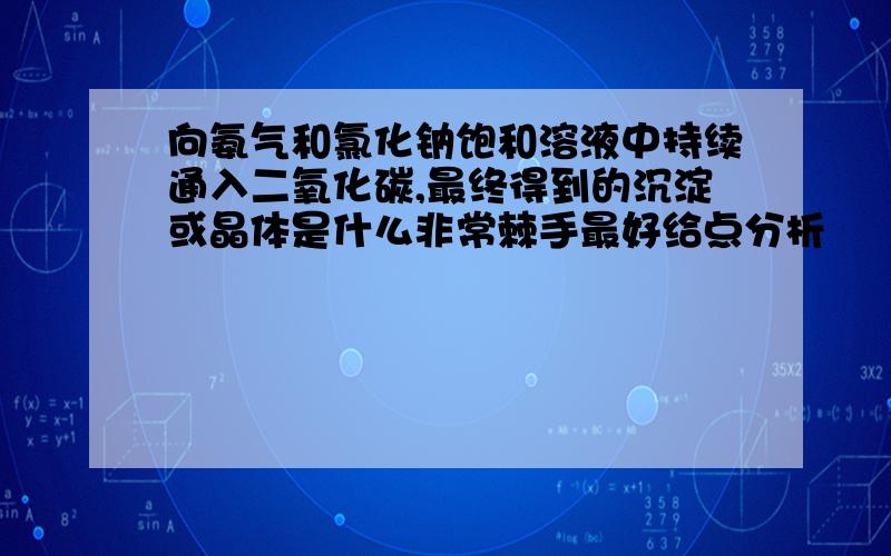 向氨气和氯化钠饱和溶液中持续通入二氧化碳,最终得到的沉淀或晶体是什么非常棘手最好给点分析