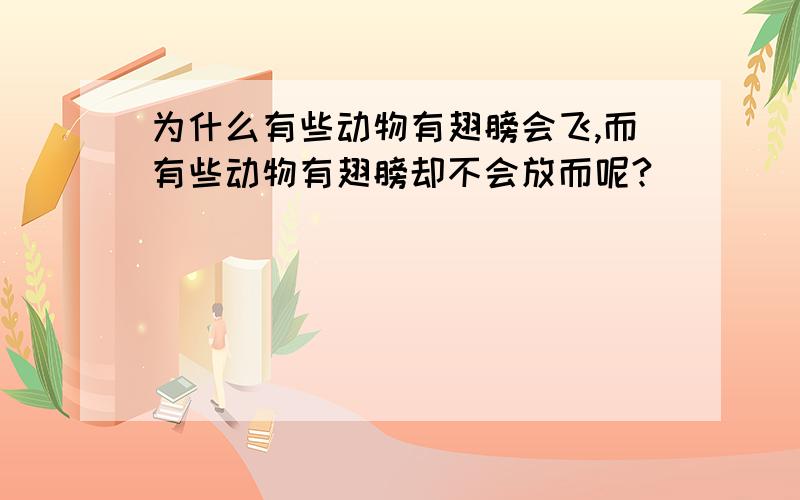 为什么有些动物有翅膀会飞,而有些动物有翅膀却不会放而呢?