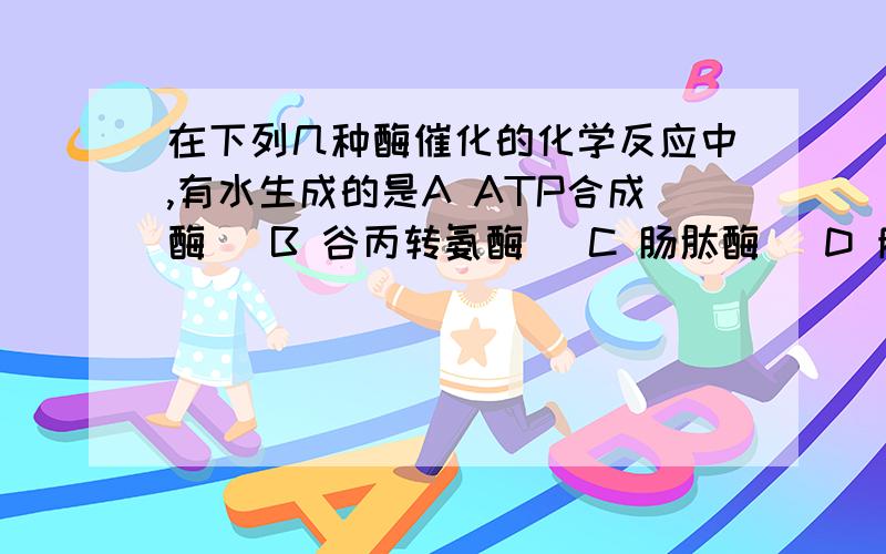 在下列几种酶催化的化学反应中,有水生成的是A ATP合成酶   B 谷丙转氨酶   C 肠肽酶   D 脂肪酶非常感谢大家的帮忙!能否写一下原因