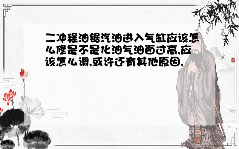 二冲程油锯汽油进入气缸应该怎么修是不是化油气油面过高,应该怎么调,或许还有其他原因,