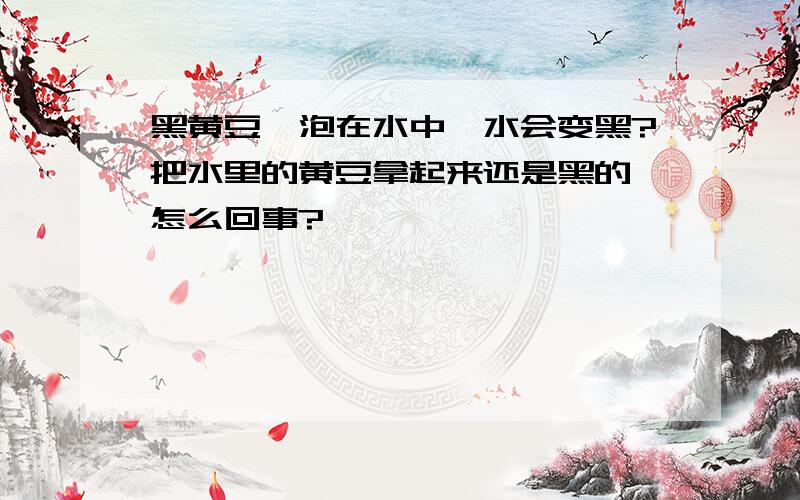 黑黄豆,泡在水中,水会变黑?把水里的黄豆拿起来还是黑的,怎么回事?