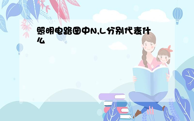 照明电路图中N,L分别代表什么