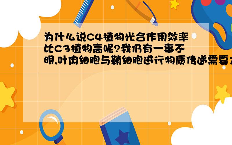 为什么说C4植物光合作用效率比C3植物高呢?我仍有一事不明,叶肉细胞与鞘细胞进行物质传递需要大量能量,那么为什么还说C4植物光合作用效率比C3植物高呢?